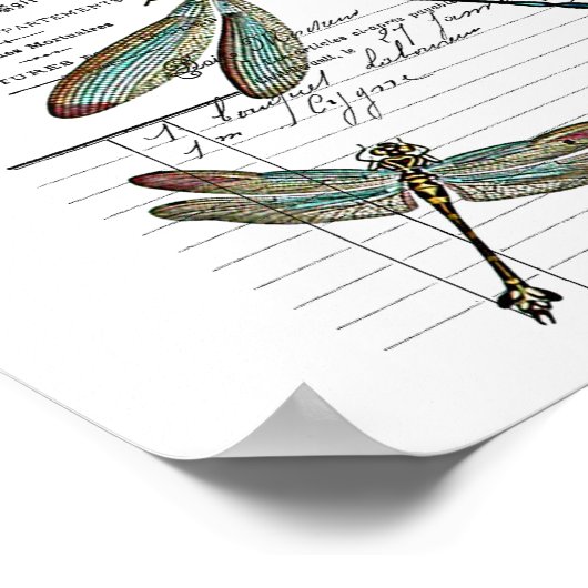 , Retro Design Frankreich - Libelle, Insekt Poster (Hoek)