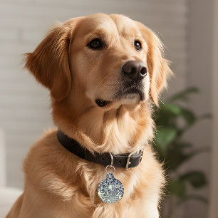 Retro Disco Identificatieplaatje voor Huisdieren Huisdierpenning