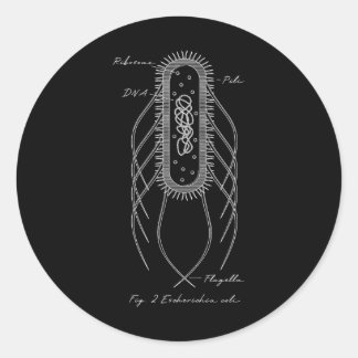 Retro E. Coli Schematic Diagram Microbiology Scien Ronde Sticker