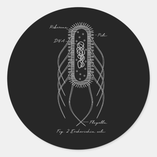 Retro E. Coli Schematic Diagram Microbiology Scien Ronde Sticker (Voorkant)
