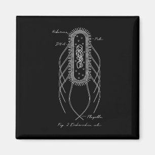 Retro E. Coli Schematisch Diagram Microbiologie We Magneet
