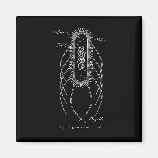 Retro E. Coli Schematisch Diagram Microbiologie We Magneet (Voorkant)