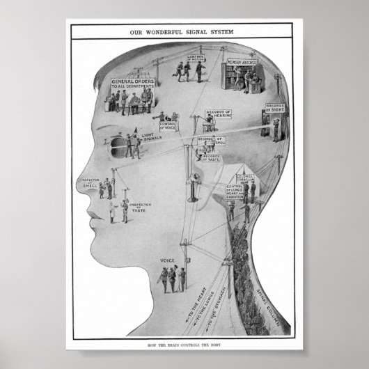 Retro educatief poster (Voorkant)