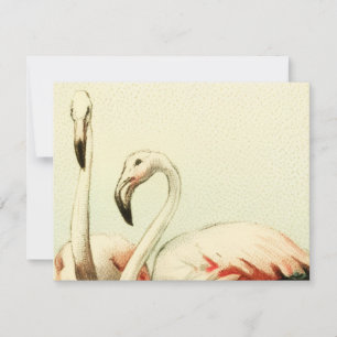 Retro Flamingo Bedankkaart
