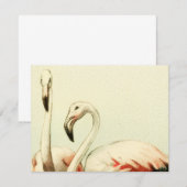 Retro Flamingo Bedankkaart (Voorkant / Achterkant)