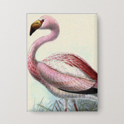 Retro Flamingo Button (Voorkant)