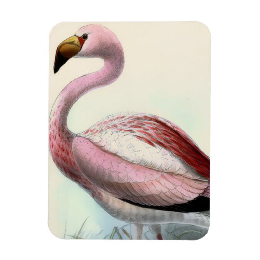 Retro Flamingo Magneet (Verticaal)