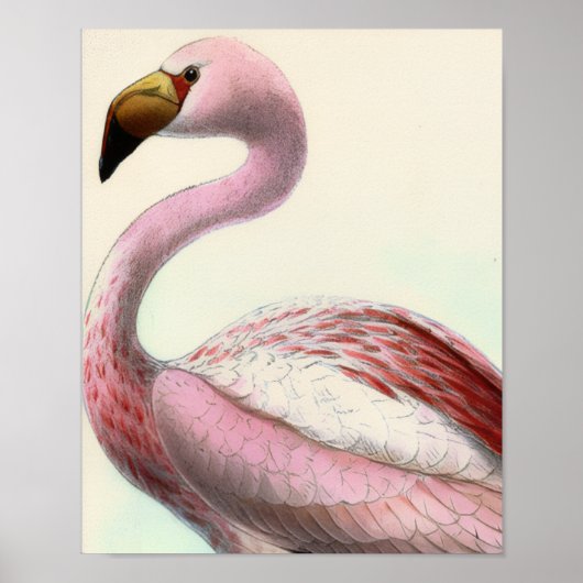 Retro Flamingo Poster (Voorkant)