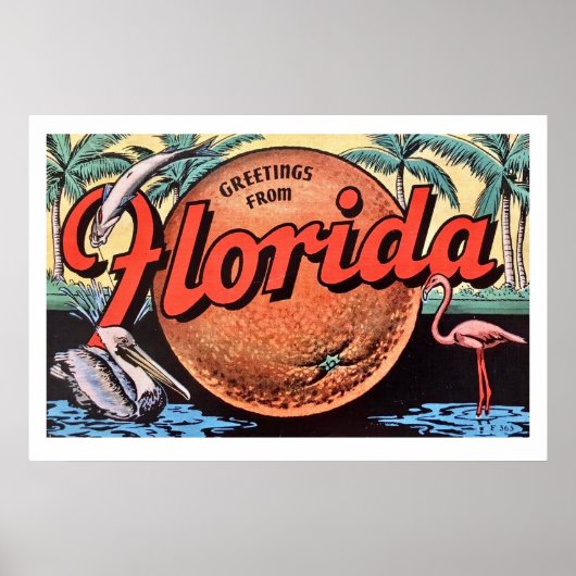 Retro Florida Sinaasappel Posterprint Poster (Voorkant)