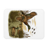Retro-Flying-Mallard-Duck-Hunting, Magneet (Horizontaal)