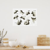 Retro  Franse vormen voor schaduwpoppen Poster (Keuken)