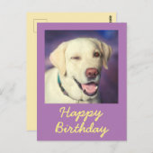 Retro Funny Dog en Happy Birthday Briefkaart (Voorkant / Achterkant)