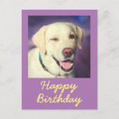 Retro Funny Dog en Happy Birthday Briefkaart (Voorkant)
