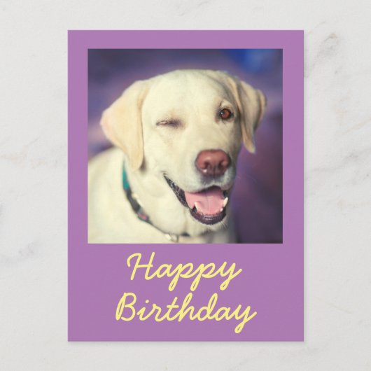 Retro Funny Dog en Happy Birthday Briefkaart (Voorkant)