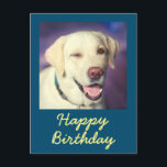 Retro Funny Dog en Happy Birthday Briefkaart<br><div class="desc">Het is het Retro Funny Dog en Happy Birthday Briefkaart. Het schattige uitzoeken is prachtig. U kunt uw berichten opnemen. Het zal je vriend aan het lachen maken. Dit zal een betekenisvol cadeau zijn en je vriend aan het lachen maken. Ik wil u nu feliciteren en een van de weinigen...</div>