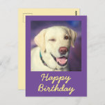 Retro Funny Dog en Happy Birthday Briefkaart<br><div class="desc">Het is het Retro Funny Dog en Happy Birthday Briefkaart. Het schattige uitzoeken is prachtig. U kunt uw berichten opnemen. Het zal je vriend aan het lachen maken. Dit zal een betekenisvol cadeau zijn en je vriend aan het lachen maken. Ik wil u nu feliciteren en een van de weinigen...</div>