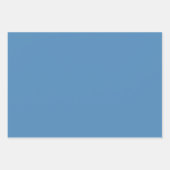 Retro Garden Floral 60s 70s Patroon Inpakpapier Vel (Voorkant 2)