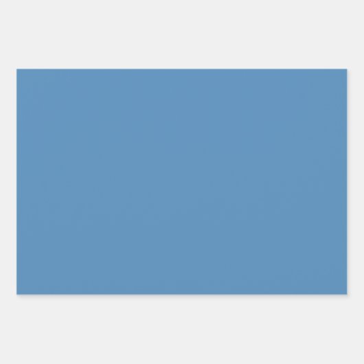 Retro Garden Floral 60s 70s Patroon Inpakpapier Vel (Voorkant 2)