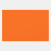 Retro Garden Groovy Floral 60s 70s Pattern Inpakpapier Vel (Voorkant 2)