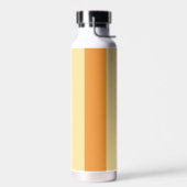 Retro gestreept kleurenpatroon waterfles (Links)