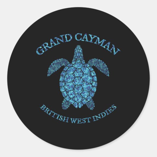 Retro grafische afbeelding van zeeschildpad van de ronde sticker (Voorkant)