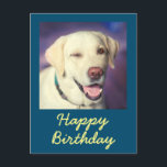 Retro Grappige Hond en Gelukkige Verjaardag Ansich Briefkaart<br><div class="desc">Het is de Retro Grappige Hond en Gelukkige Verjaardag Ansichtkaart. De schattige retriever die knipoogt is lief. Je kan je berichten invoegen. Het zal je vriend aan het lachen maken. Dit zal een betekenisvol geschenk zijn en je vriend aan het lachen maken. Geef nu felicitaties en Wees een van de...</div>