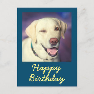 Retro Grappige Hond en Gelukkige Verjaardag Ansich Briefkaart