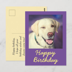 Retro Grappige Hond en Verjaardagsansichtkaart Briefkaart