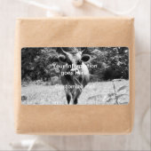 Retro Gray Bull Foto Etiket (Insitu)