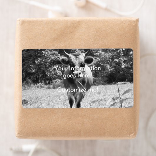 Retro Gray Bull Foto Etiket (Insitu)