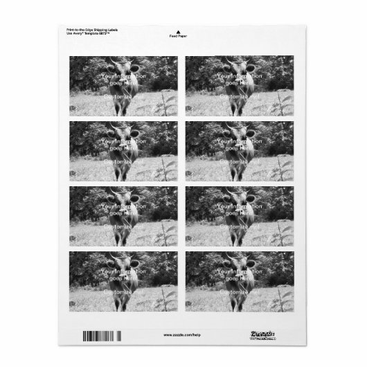 Retro Gray Bull Foto Etiket (Full Sheet)