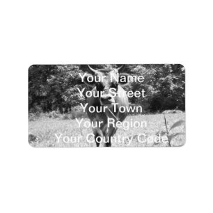 Retro Gray Bull Foto Etiket