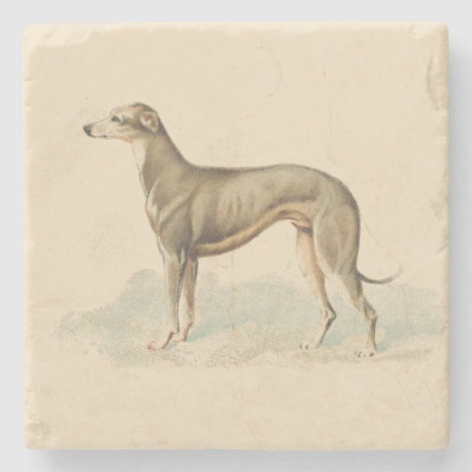 Retro Greyhound Whippet Print Stenen Onderzetter (Voorkant)