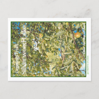 Retro “Groeten van Silverwood Lake” Briefkaart