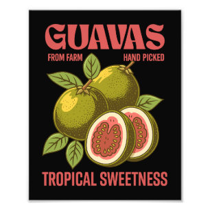 Retro Guavas Fruit Commerciële grafische kunst sti Foto Afdruk