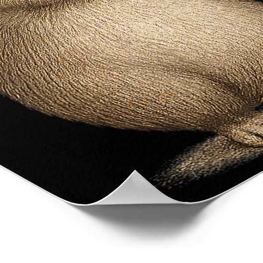 Retro Guinea Pig Rock op muziek Grappig cadeau Man Poster (Hoek)