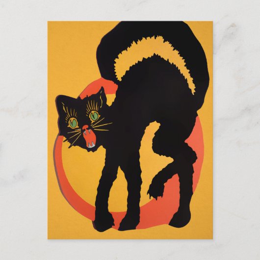 Retro Halloween Black Cat Briefkaart (Voorkant)