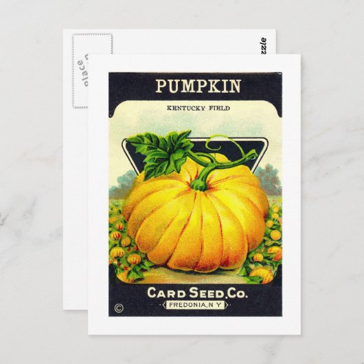 Retro  Halloween pompoenzaadpakket Briefkaart (Voorkant / Achterkant)