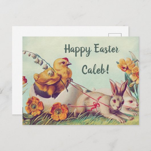  Retro Happy Paast Bunny Rabbits en Chick Briefkaart (Voorkant / Achterkant)