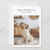 Retro Happy Valentijnsdag Hond Huisdier Grappige K Feestdagenkaart (Voorkant)