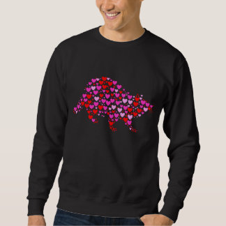 Retro Hearts Raccoon Animals, met kerstmis Va Trui