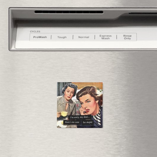 Retro huisvrouw "Er is geen remedie voor Stompzinn Magneet (Insitu (Vaatwasser))