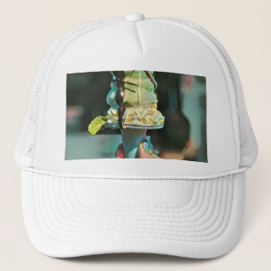 Retro ice cream popsicle trucker pet