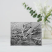 retro ichthyosaur zwart-wit afbeelding briefkaart (Staand voorkant)