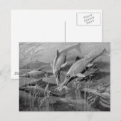 retro ichthyosaur zwart-wit afbeelding briefkaart (Voorkant / Achterkant)