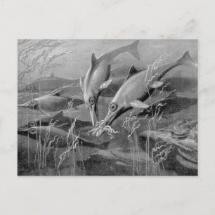 retro ichthyosaur zwart-wit afbeelding briefkaart