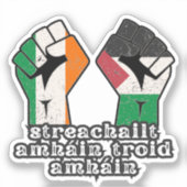 Retro Ierland Palestine Solidariteit Eerste Revolu Sticker (Voorkant)