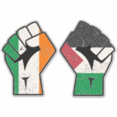 Retro Ierland Palestine Solidariteit Eerste Revolu Sticker (Voorkant)