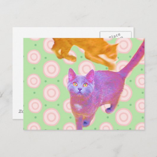 Retro-Katten kaart (Voorkant / Achterkant)