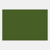 Retro Kerstmis Floral Fantasy Pattern Green Inpakpapier Vel (Voorkant 3)